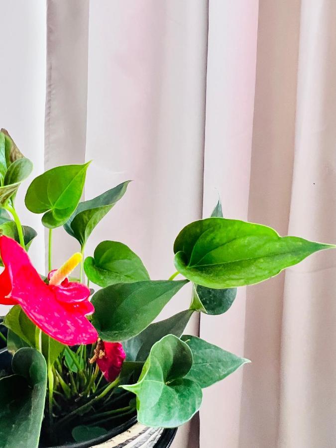 Cozy Apartment Turnu Magurele Bagian luar foto